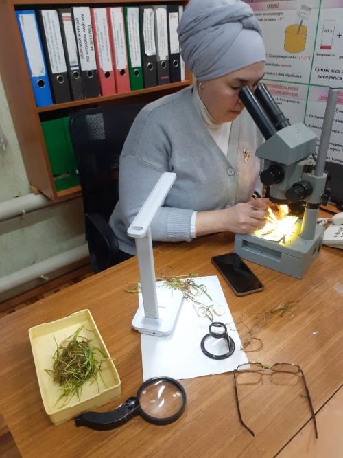 Басуларда ни хәл?