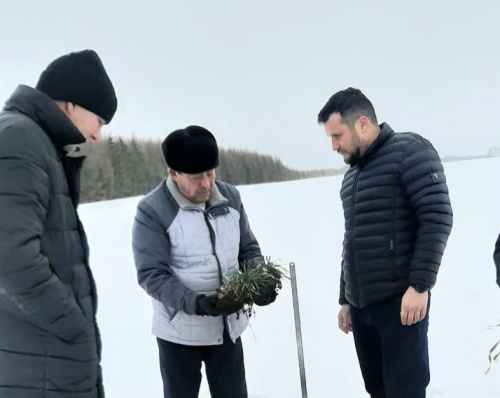 Басуларда ни хәл?