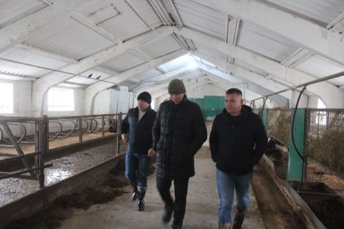 Ярдәм булачак