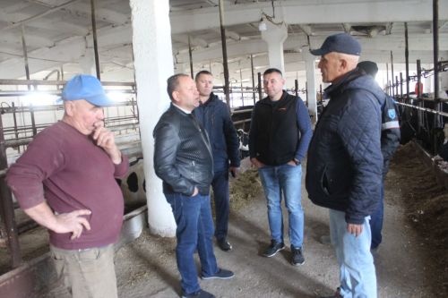Район җитәкчесе хуҗалыкларда булды