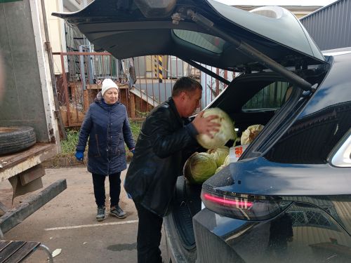 Бөтен Арча, Күпербаш халкы кәбестә тозлый