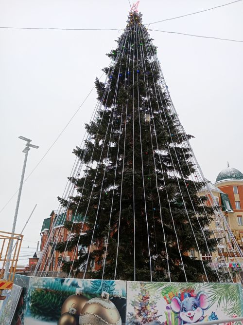 Арчада Яңа ел рухы туа