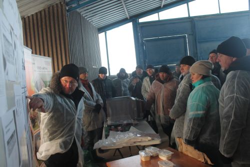 Терлекчелек – төп табыш китерә торган тармак