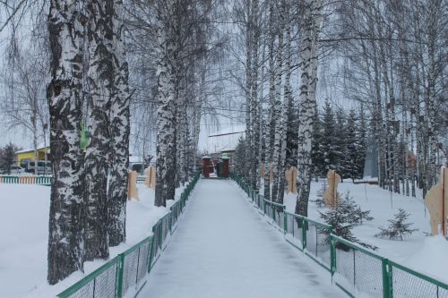 Сеҗе авыл җирлегенең эшчәнлеге күчмә утырышта бәяләнде