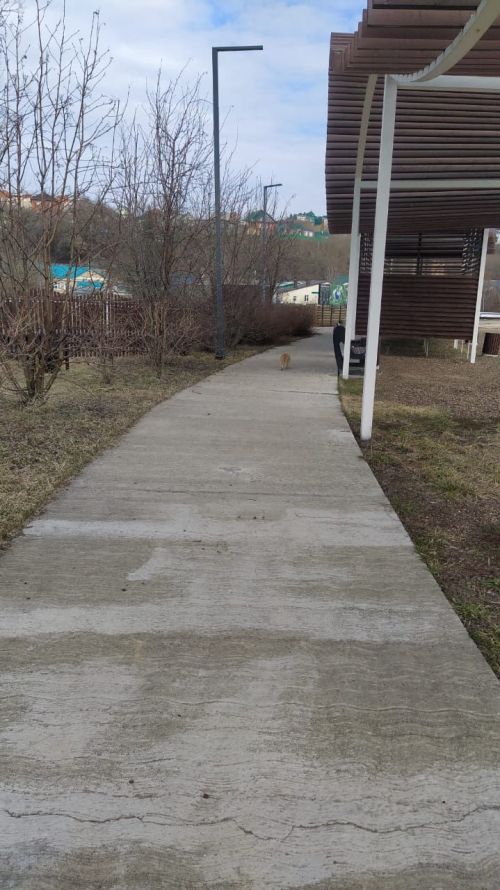Казансу паркын песиләр ярата...