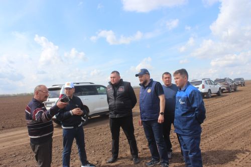 Басуларда эш гөрли