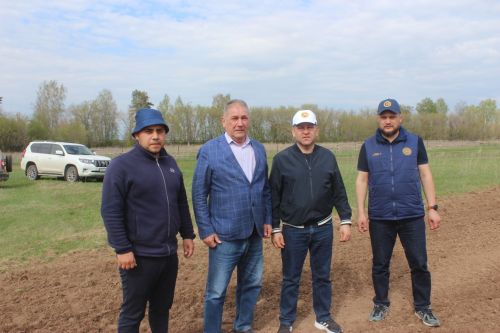 Басуларда эш гөрли