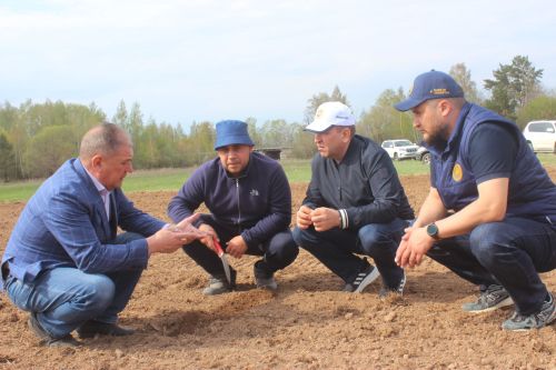 Басуларда эш гөрли