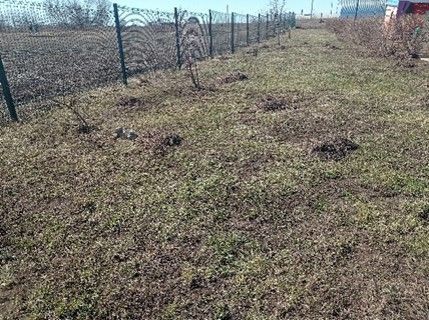 Арча районы мәктәпләре һәм балалар бакчалары “Экояз – 2025” бәйгесендә актив катнаша