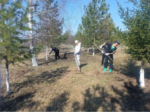Арча районы мәктәпләре һәм балалар бакчалары “Экояз – 2025” бәйгесендә актив катнаша