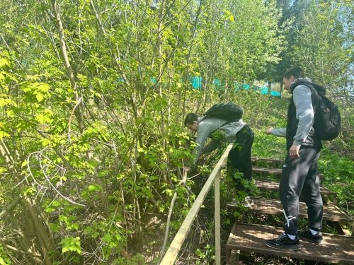 В Арском районе в рамках конкурса «Эковесна – 2025» очистили и благоустроили родники