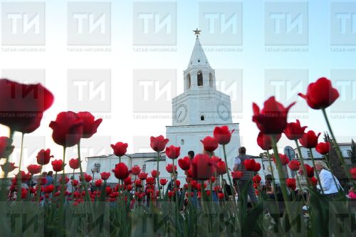 Улыбнулась майская погода: скоро потеплеет