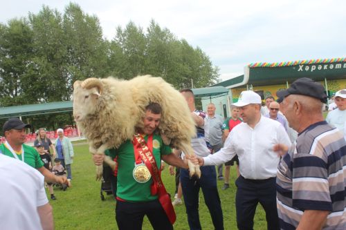 Нияз белән Илшатка - тәкә, Илнурга - машина!