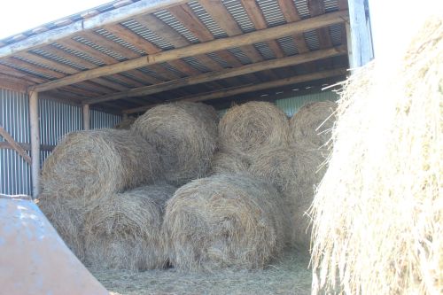 Яңа Кенәр авыл җирлегендә күчмә утырыш узды
