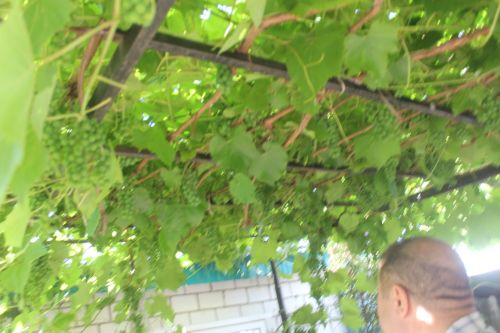 Яңа Кенәр авыл җирлегендә күчмә утырыш узды