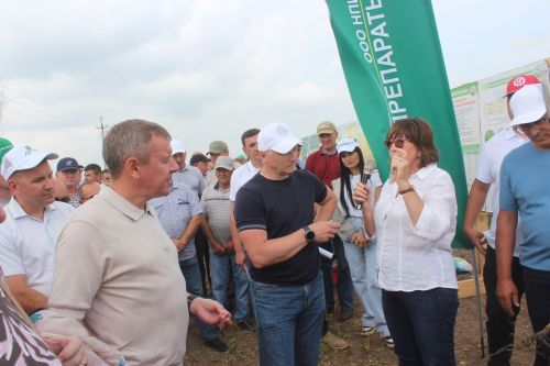 Министр Арчада