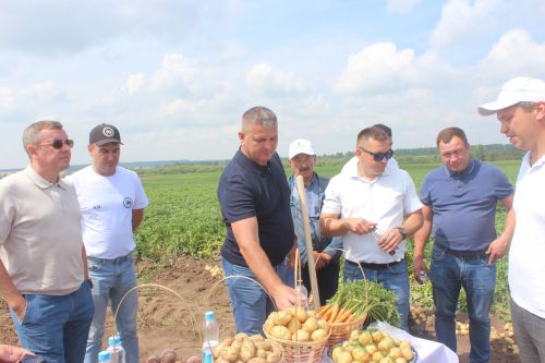 Министр Арчада