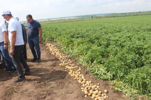 Министр Арчада
