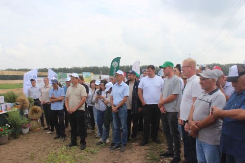 Министр Арчада