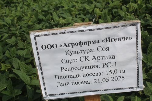 Министр Арчада