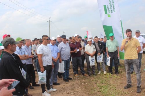 Министр Арчада
