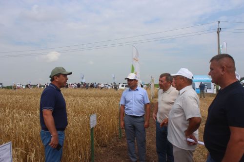 Министр Арчада