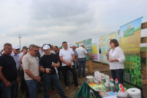Министр Арчада