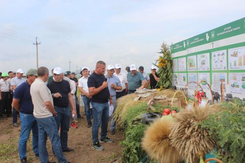 Министр Арчада