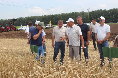 Министр Арчада