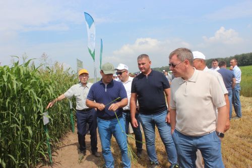 Министр Арчада