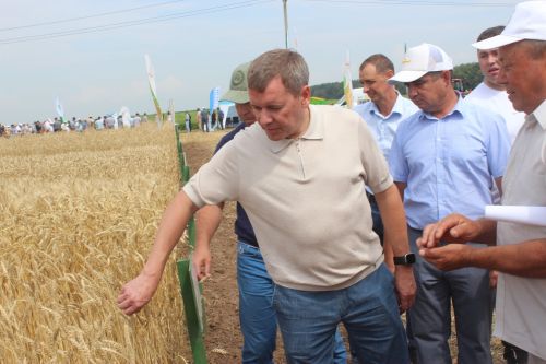 Министр Арчада