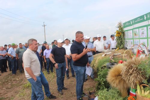 Министр Арчада