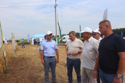 Министр Арчада