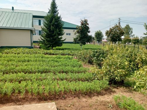 Мәктәпләр яңа уку елына, балалар бакчалары балаларны кабул итәргә әзер