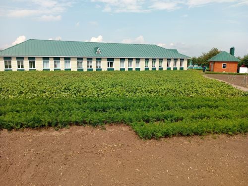 Мәктәпләр яңа уку елына, балалар бакчалары балаларны кабул итәргә әзер
