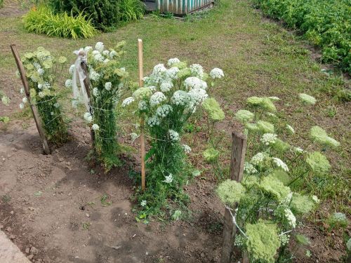 Мәктәпләр яңа уку елына, балалар бакчалары балаларны кабул итәргә әзер