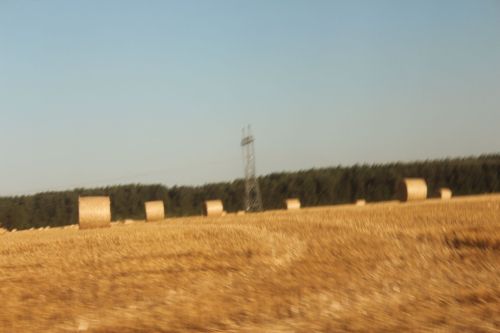 60 центнер - чик түгел (+фотолар)