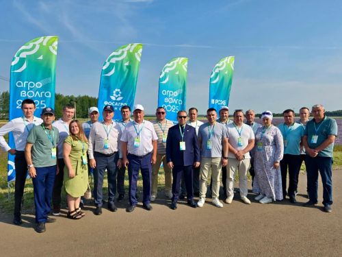 Татарстанда «Кыр көне» бара