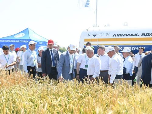 Татарстанда «Кыр көне» бара