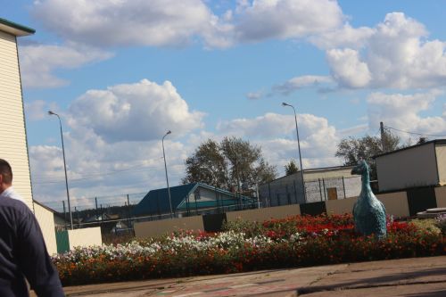 Алдынгы комбайнчыларга вымпел һәм премияләр тапшырдылар