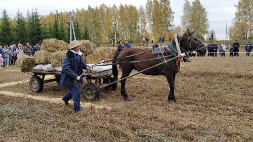 Яңа Кырлайда ат-спорт фестивале узачак