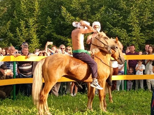 «Ат көне»ндә бүләккә ат бирелде