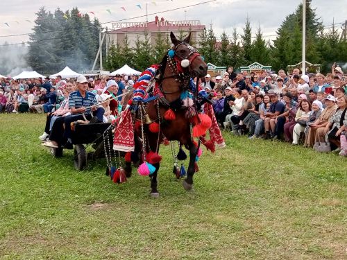 «Ат көне»ндә бүләккә ат бирелде