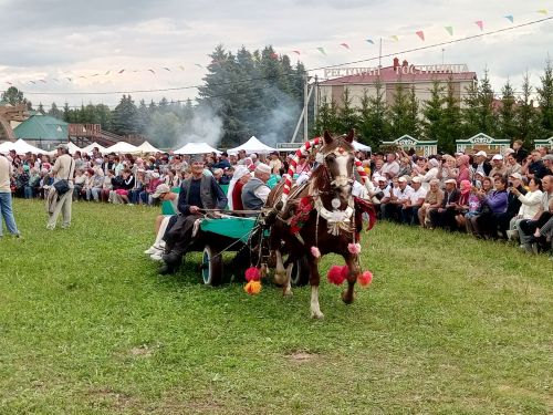 «Ат көне»ндә бүләккә ат бирелде