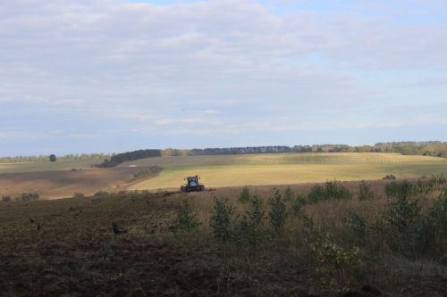 Арчада алдынгы механизаторларны бүләкләделәр