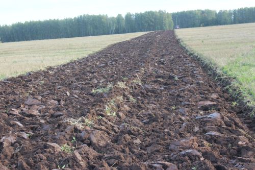 Арчада алдынгы механизаторларны бүләкләделәр