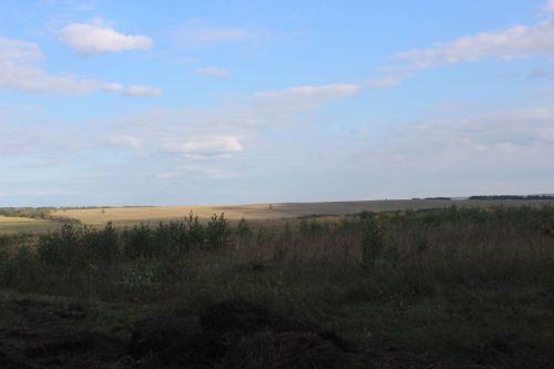 Арчада алдынгы механизаторларны бүләкләделәр