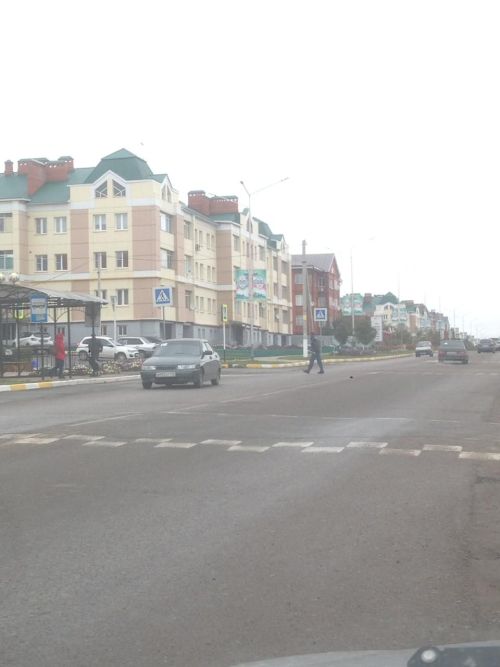 Арчада исерек хәлдә руль артына утыручылар саны тагын унга артты.