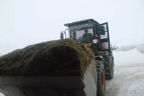 Бәйрәмдә дә эштә алар