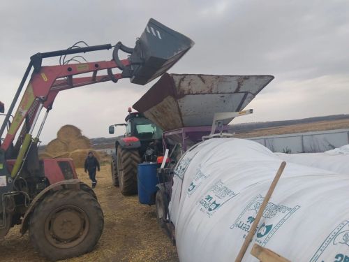 Алмаз Хисаметдинов Арча районының авыл хуҗалыгы предприятиеләре эшчәнлеге белән танышты